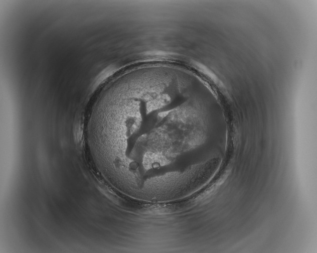 X0000115451259200911121147