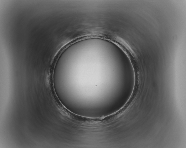 X0000115451260200911121147