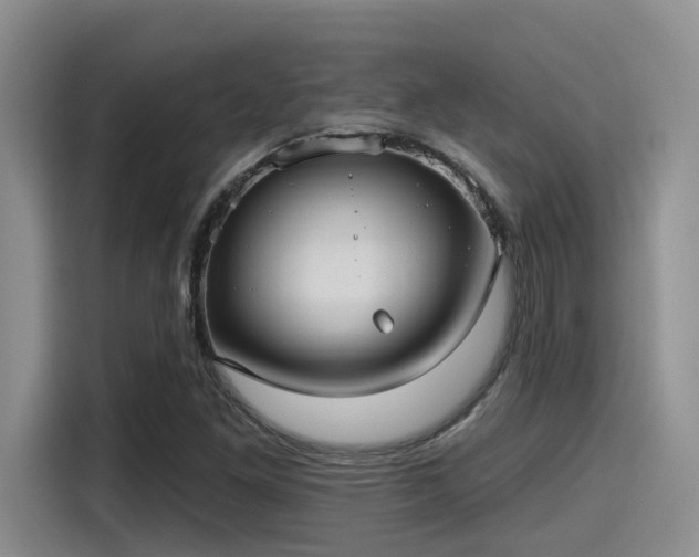 X0000115451261200911121147