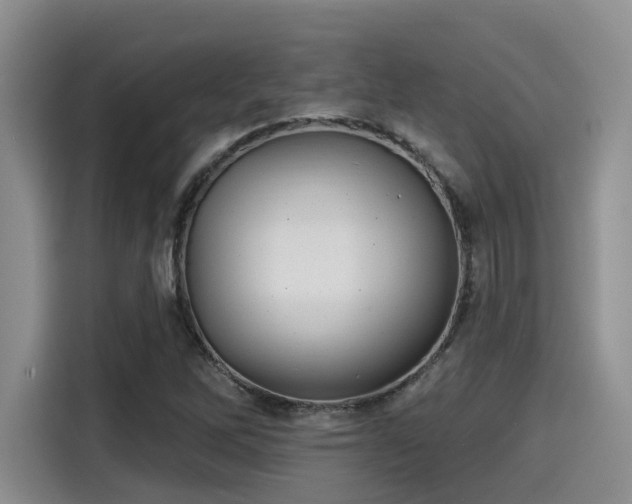 X0000115451262200911121147