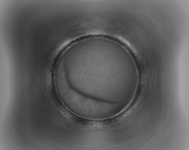 X0000115451263200911121146