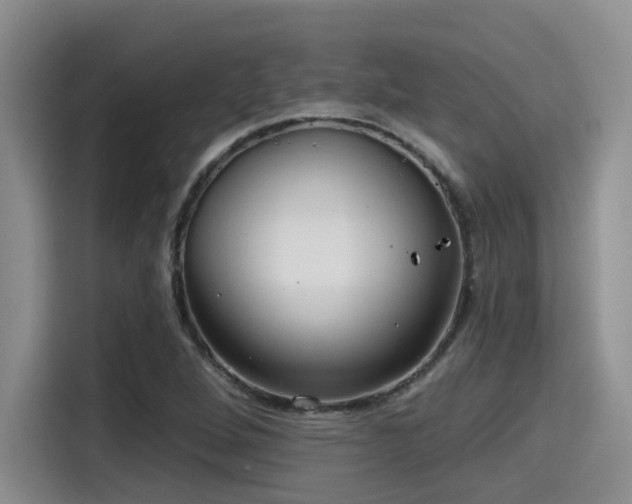 X0000115451264200911121146