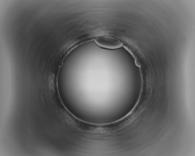 X0000115451265200911121146