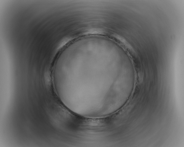 X0000115451266200911121146