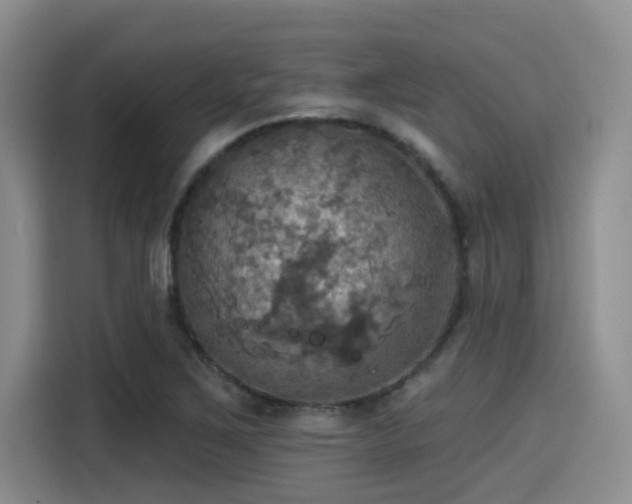 X0000115451267200911121146
