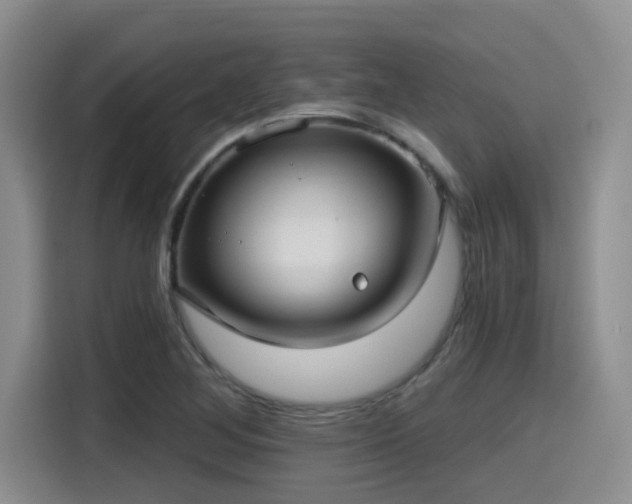 X0000115451268200911121146