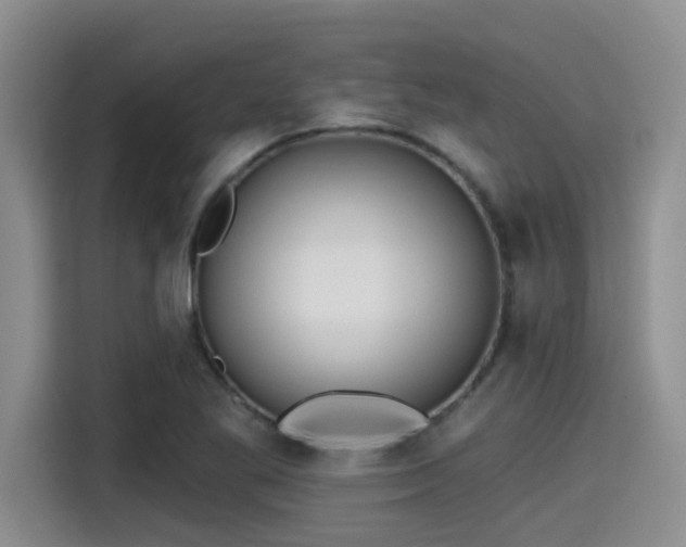 X0000115451269200911121146