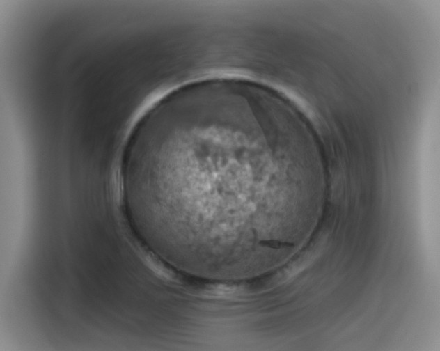 X0000115451271200911121146
