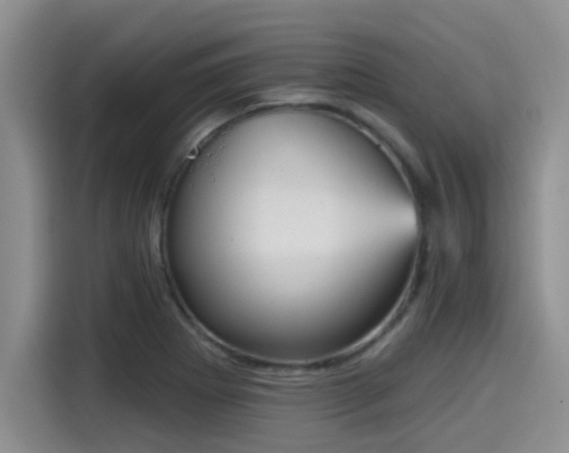 X0000115451273200911121146