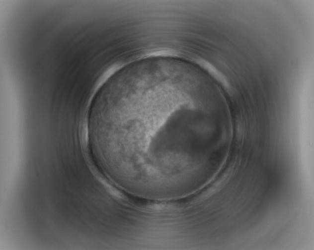 X0000115451274200911121146