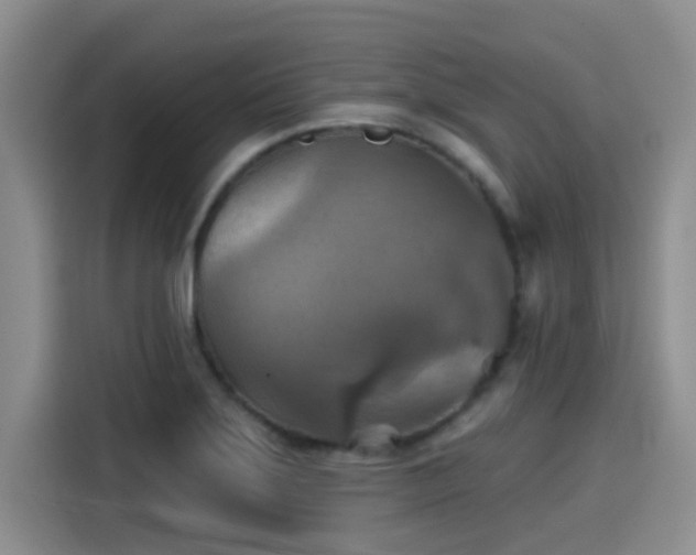 X0000115451275200911121146