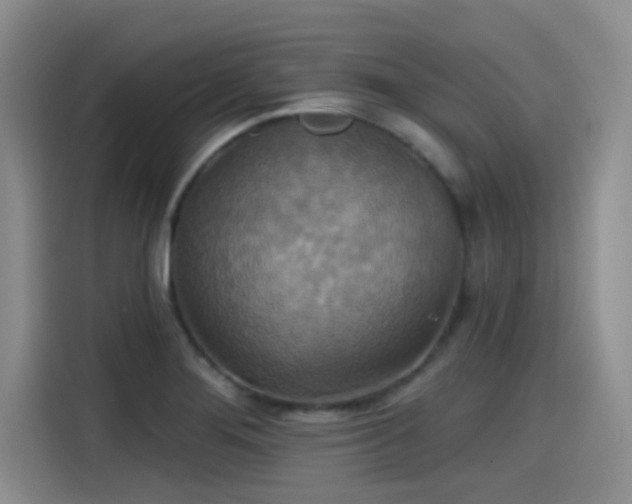 X0000115451276200911121146