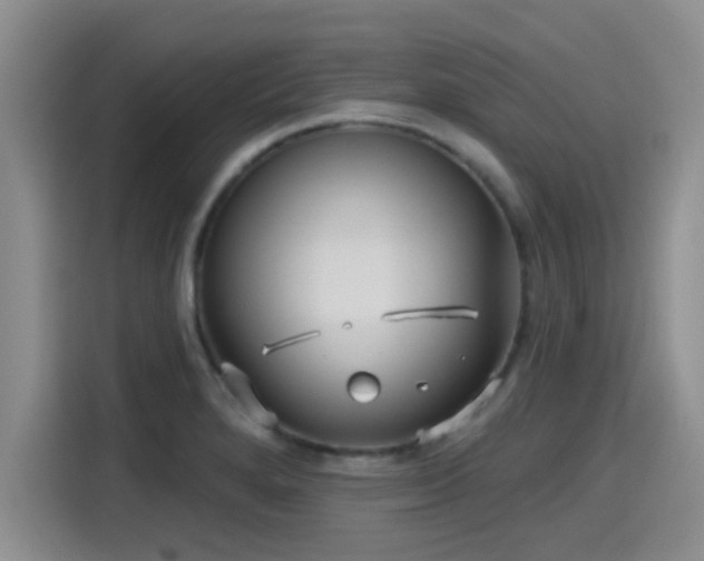 X0000115451280200911121146