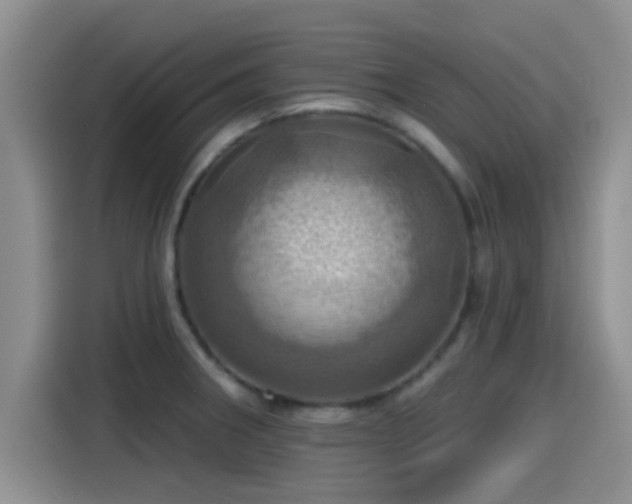 X0000115451282200911121146