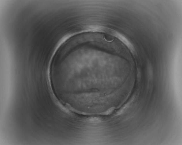 X0000115451283200911121146