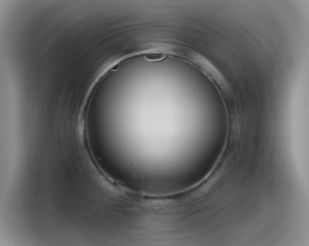 X0000115451284200911121146