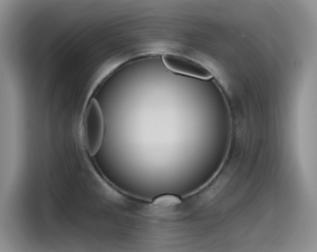X0000115451285200911121146