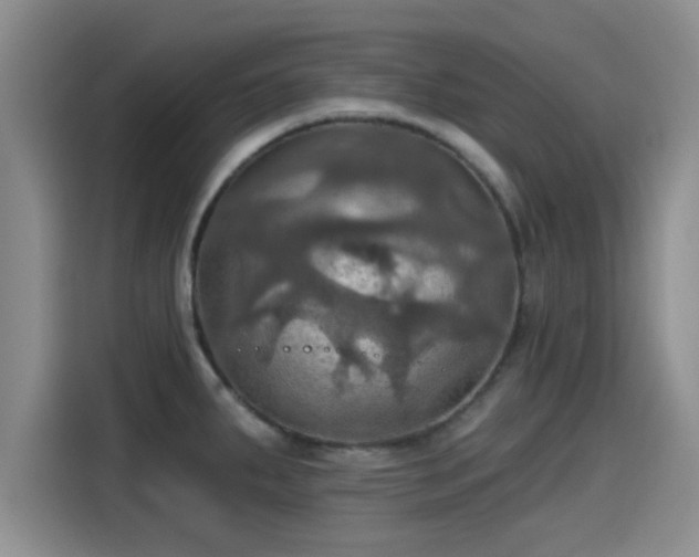 X0000115451287200911121146