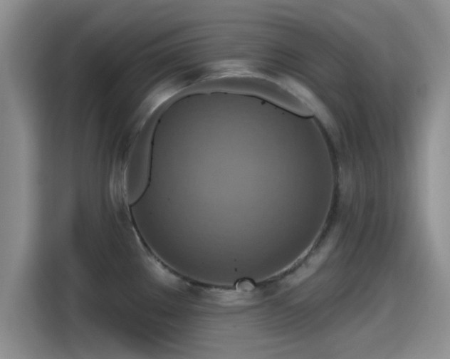 X0000115451289200911121146