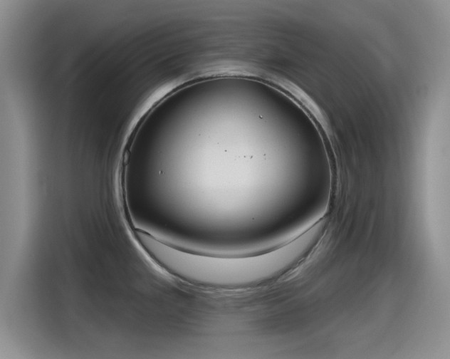 X0000115451293200911121146