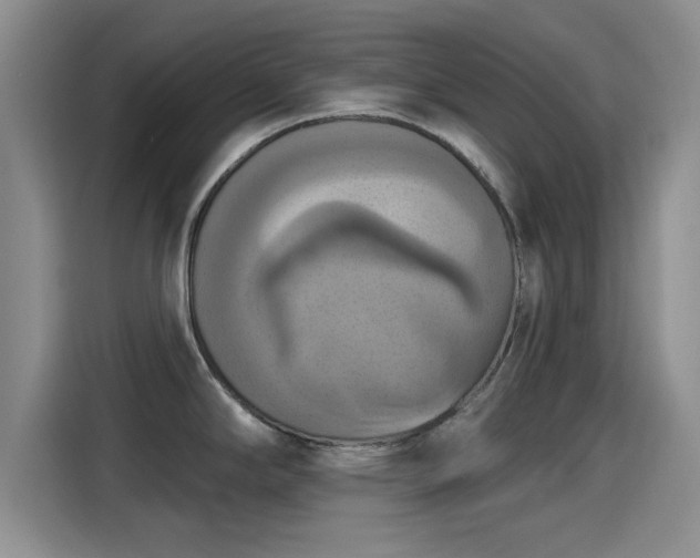 X0000115451294200911121146