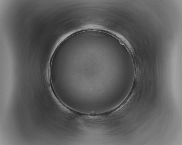 X0000115451295200911121146