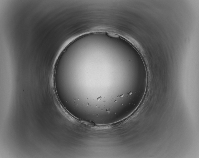 X0000115451296200911121146
