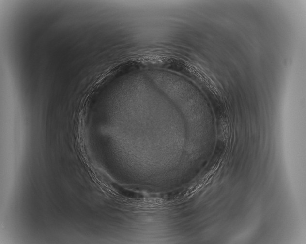 X0000115451297200911121145