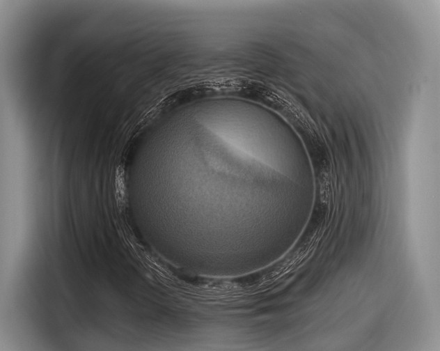 X0000115451298200911121145