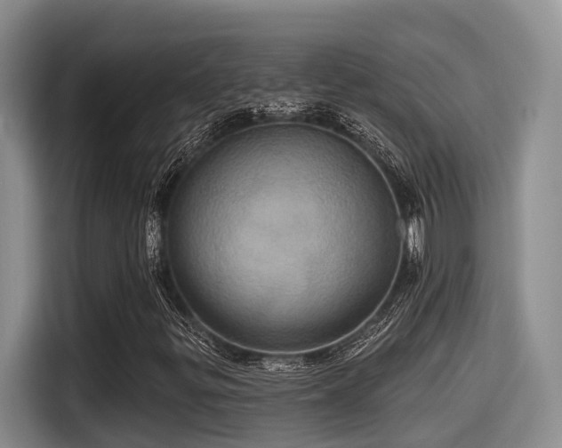 X0000115451299200911121145