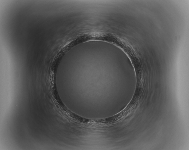 X0000115451301200911121145
