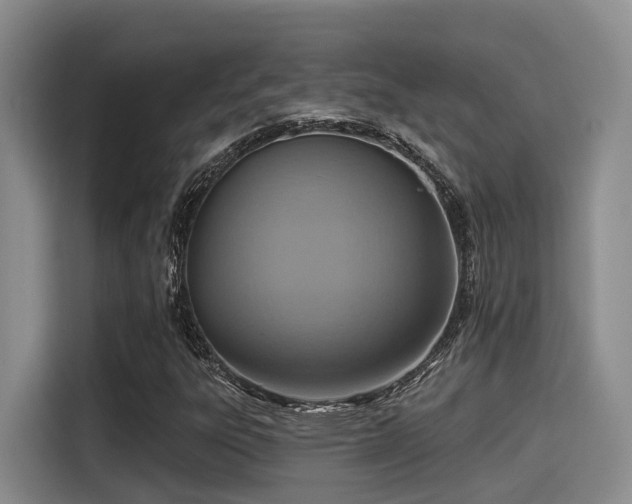 X0000115451303200911121146