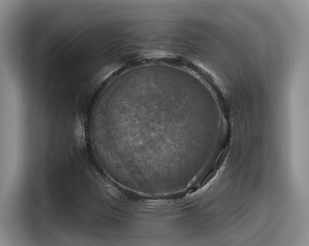 X0000115451305200911121146