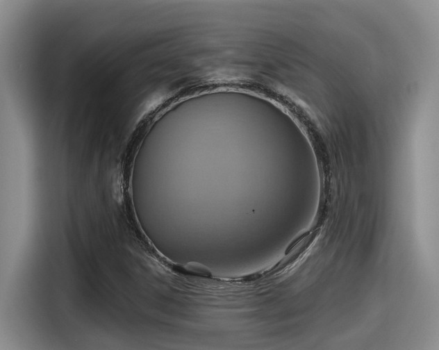 X0000115451306200911121146