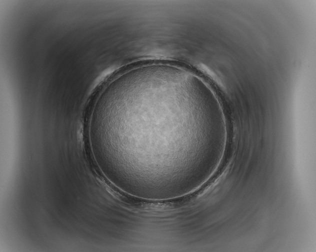 X0000115451307200911121146
