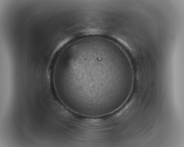 X0000115451309200911121146