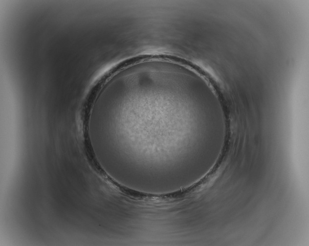 X0000115451311200911121146