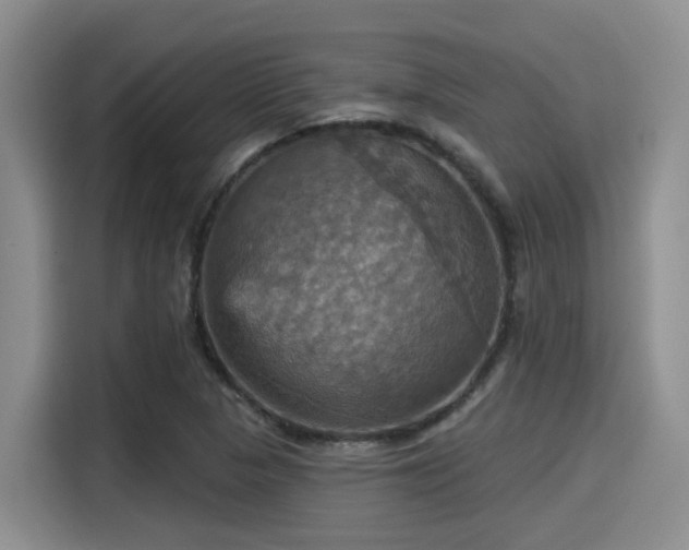 X0000115451313200911121146