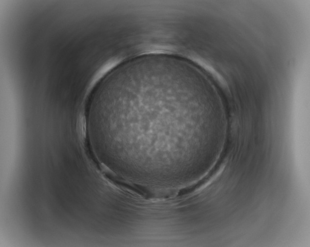 X0000115451317200911121146