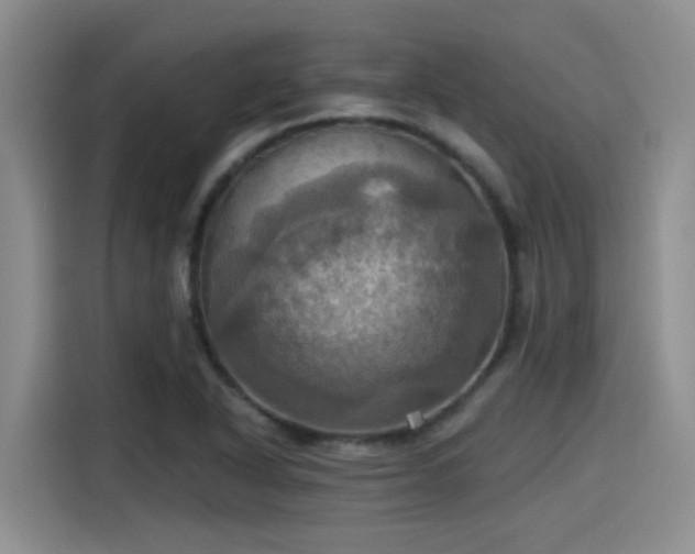 X0000115451318200911121146