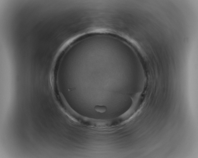 X0000115451319200911121146