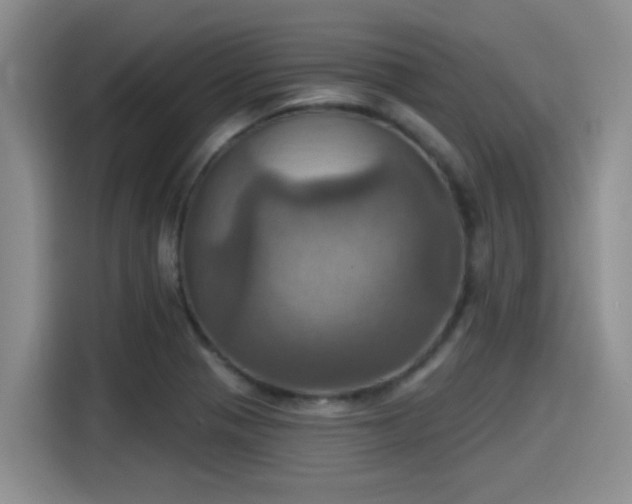 X0000115451321200911121146