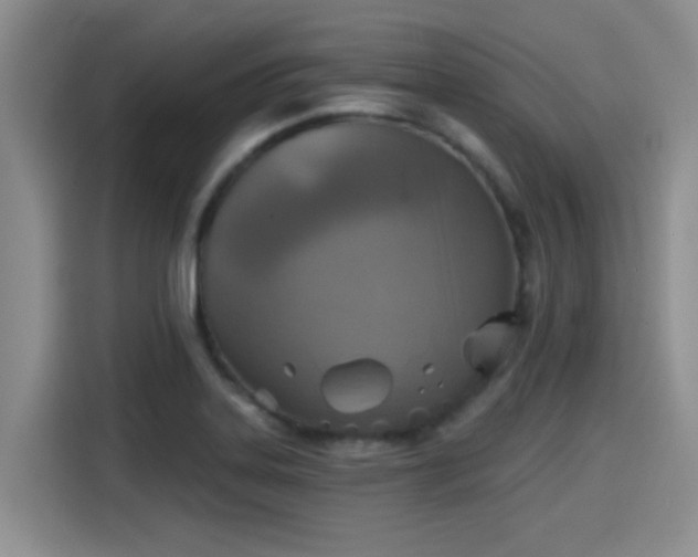 X0000115451323200911121146