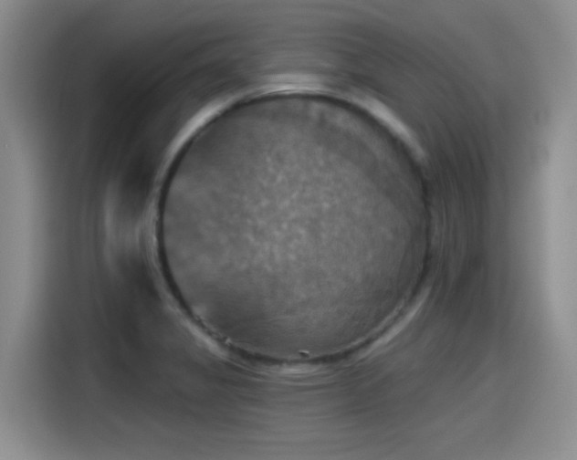 X0000115451325200911121146