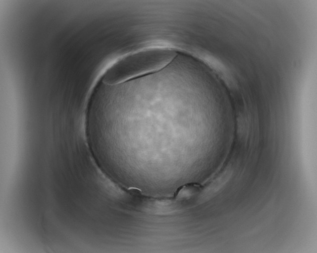 X0000115451326200911121146