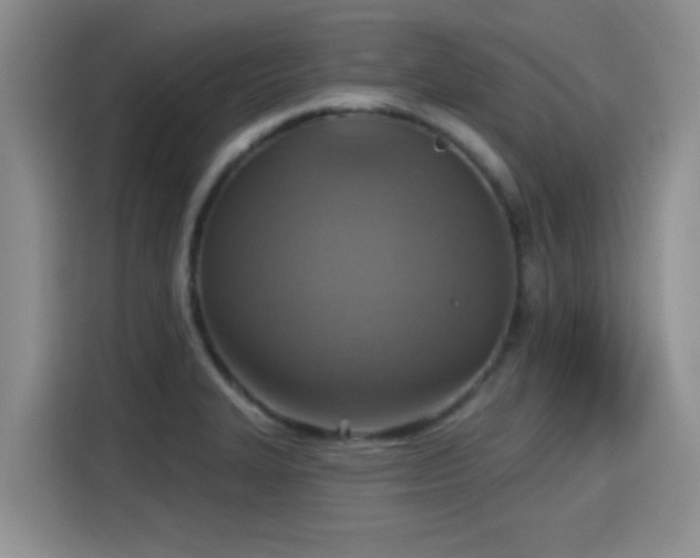 X0000115451327200911121146