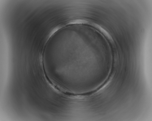 X0000115451329200911121146