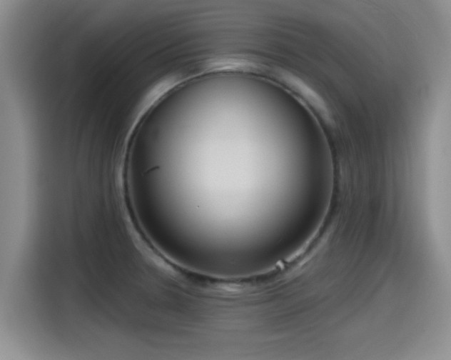 X0000115451330200911121146