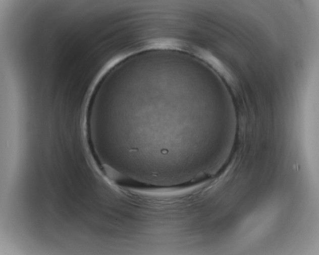 X0000115451331200911121146