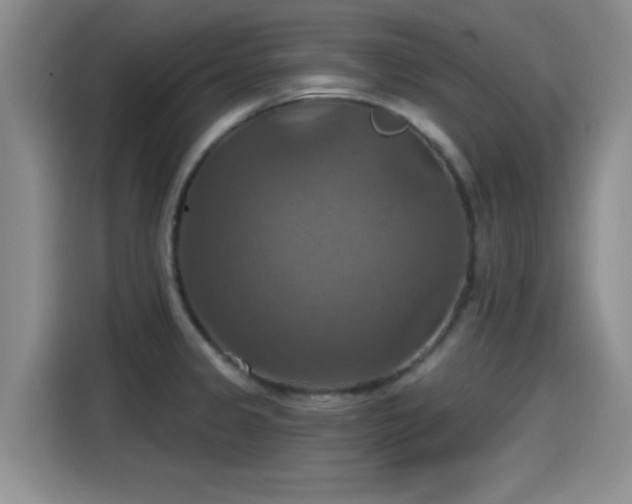 X0000115451333200911121146